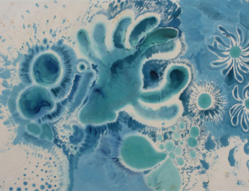 Exposition ‘Gustave Fayet et ses jardins imaginaires’ 2026