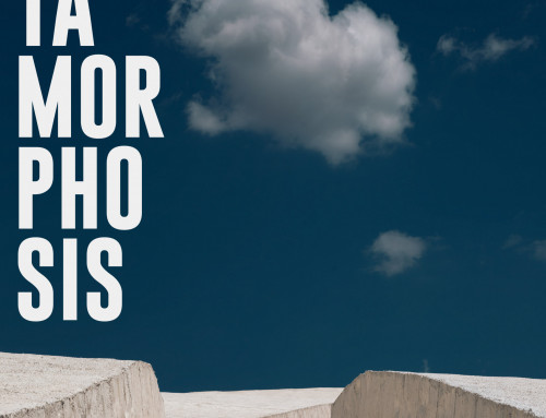 Exposition « Metamorphosis », par Alessandro Calvi – 5 août au 31 octobre 2026
