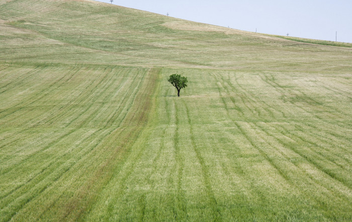 COPYRIGHT ALESSANDRO CALVI