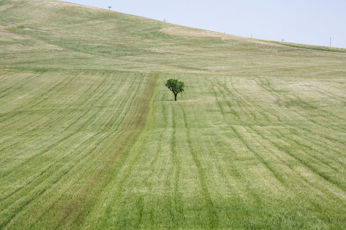 COPYRIGHT ALESSANDRO CALVI