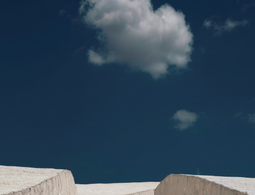 Exposition « Metamorphosis », par Alessandro Calvi – 5 août au 31 octobre 2026